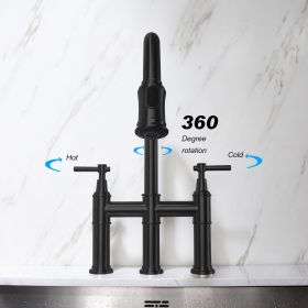 Pull Down Double Handle Kitchen Faucet-dk