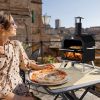 Outdoor Pizza Oven Wood Fired 2-Layer Pizza Ovens Outside Pizza Maker with Stone, Removable Cooking Rack for Camping Backyard BBQ