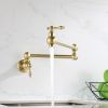 Folding faucet Pot Filler Faucet Wall Mount RT